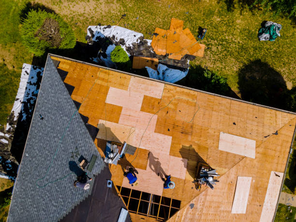 Best Storm Damage Roof Repair  in Louisiana, MO